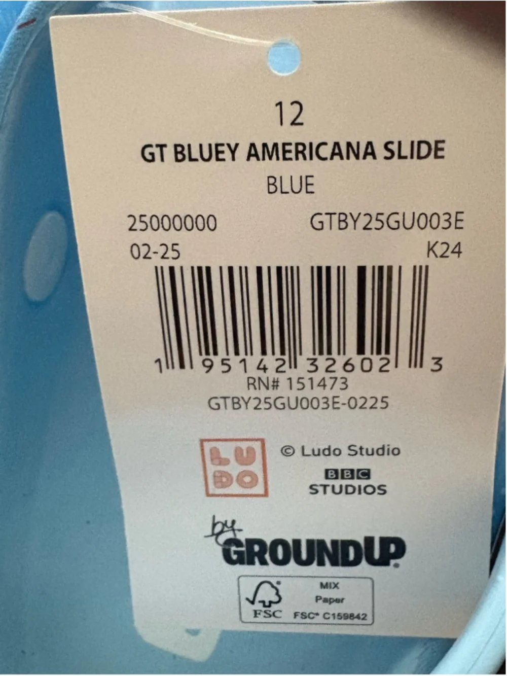 Bluey Kids Sandal Clogs- size 12